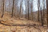  Sheepskin Ridge Road - Photo 19