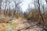  Sheepskin Ridge Road - Photo 26