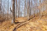  Sheepskin Ridge Road - Photo 30