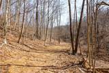  Sheepskin Ridge Road - Photo 32