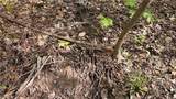  Munson Hill Road - Photo 18
