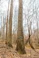  Pledge Road - Photo 28