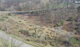 909 Lisbon Road - Photo 13