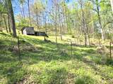 2361 Carpenter Run Road - Photo 5