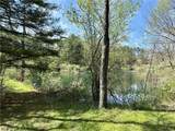 4101 Peace Road - Photo 23