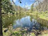 4101 Peace Road - Photo 28