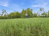 95 acres Newlon Road - Photo 10