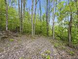 95 acres Newlon Road - Photo 12