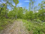 95 acres Newlon Road - Photo 13