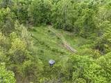 95 acres Newlon Road - Photo 14