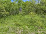95 acres Newlon Road - Photo 15