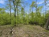 95 acres Newlon Road - Photo 17