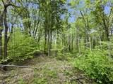 95 acres Newlon Road - Photo 18