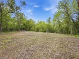 95 acres Newlon Road - Photo 5