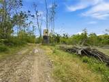95 acres Newlon Road - Photo 6