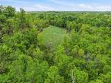 95 acres Newlon Road - Photo 7