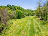 37500 Goose Run Road - Photo 8