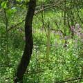  Montero Road - Photo 11