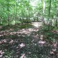  Montero Road - Photo 21