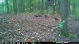 33509 Clipner Road - Photo 38