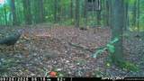 33509 Clipner Road - Photo 39