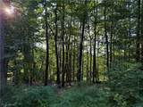 0 Fisher Ridge Rd, Tract 6 Road - Photo 1