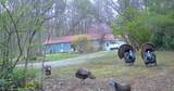 33111 Township Road 490 - Photo 46