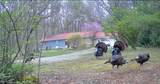 33111 Township Road 490 - Photo 47