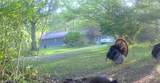 33111 Township Road 490 - Photo 48