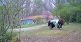 33111 Township Road 490 - Photo 49