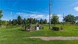 4165 Friendship Drive - Photo 50