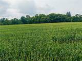 172 County Line Road - Photo 24