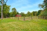 6907 Elmwood Drive - Photo 4