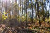  Deersville Ridge Road - Photo 34