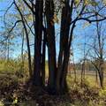  Shaw Road - Photo 12