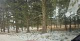 246 Ridgewood Road - Photo 5