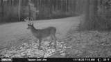  Deersville Ridge Road - Photo 7