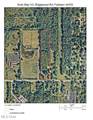 V/L - 5.8 Acres Ridgewood Road - Photo 4