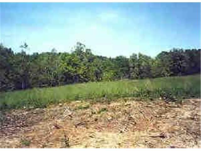 Country Club Estate Dr - Photo 1