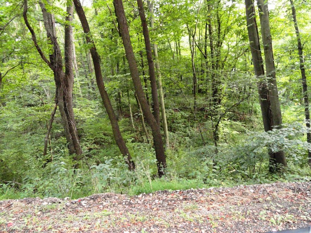 0 Zachery Ln - Photo 1