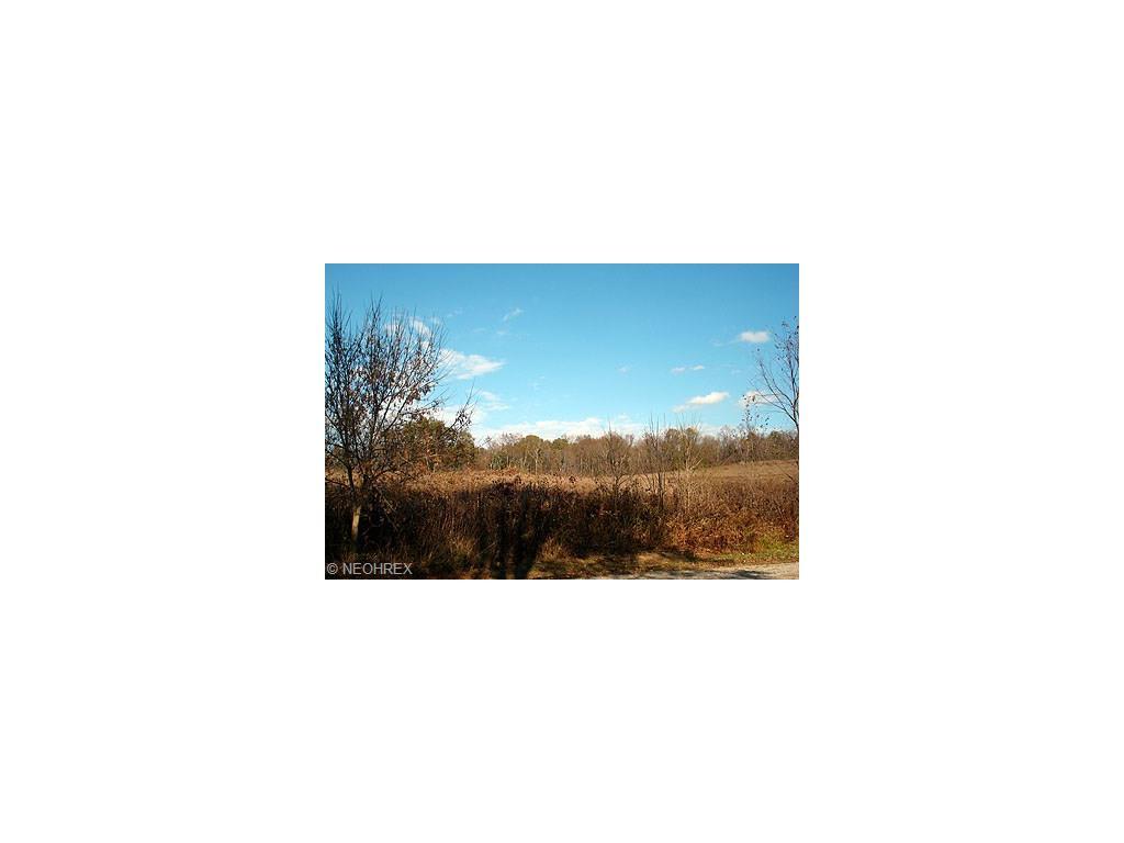 0 Tatmans Rd - Photo 1