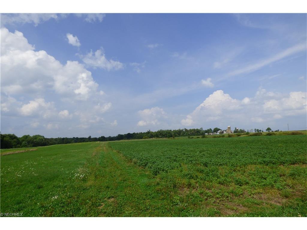 16650 Ravenna Rd - Photo 1