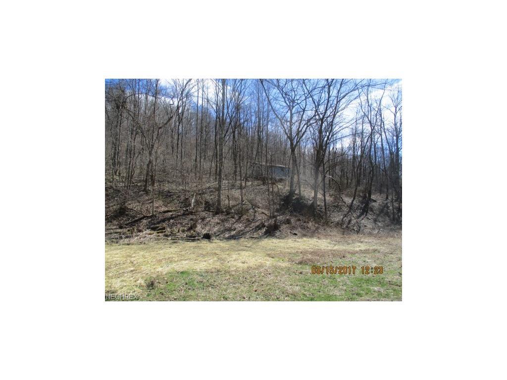 0 Factory Hollow Rd - Photo 1