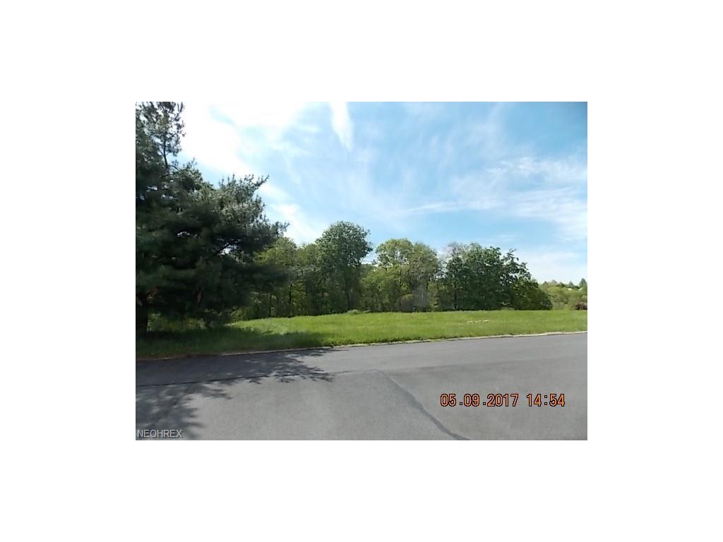 Lot C-2 Avalon Dr - Photo 1