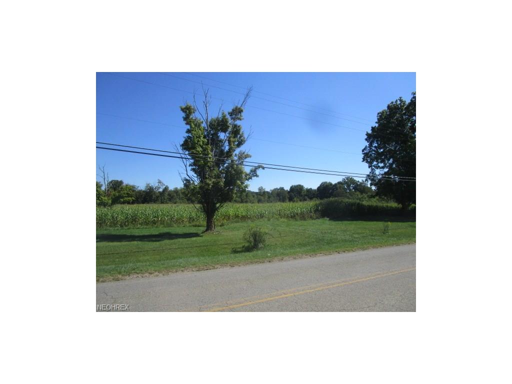Rose Hill Road - Photo 1
