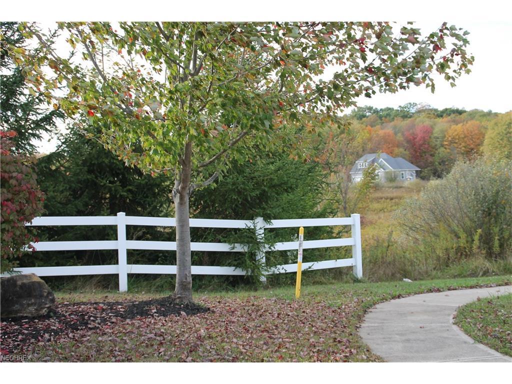 Lot #12 7008 Village Way Dr - Photo 1