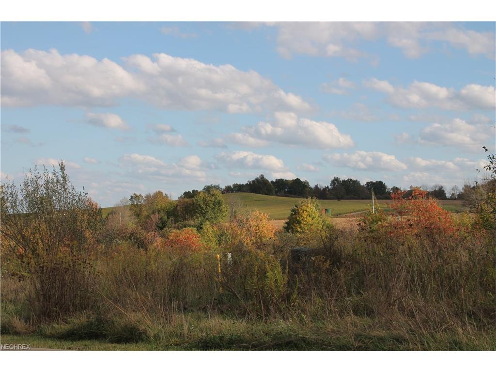 Lot #14 6994 Village Way Dr - Photo 1