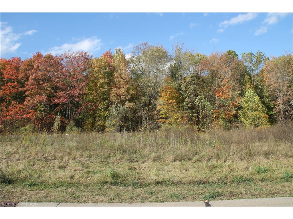 Lot #20 6979 Village Way Dr - Photo 1