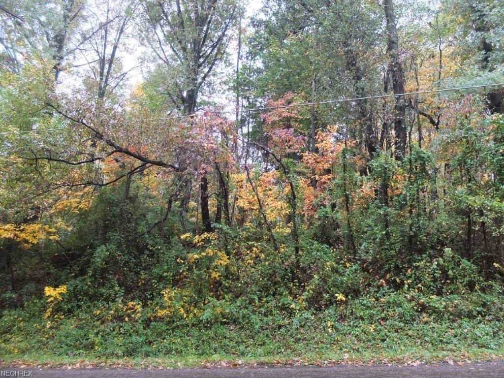 8291 Kepler Ave - Photo 1