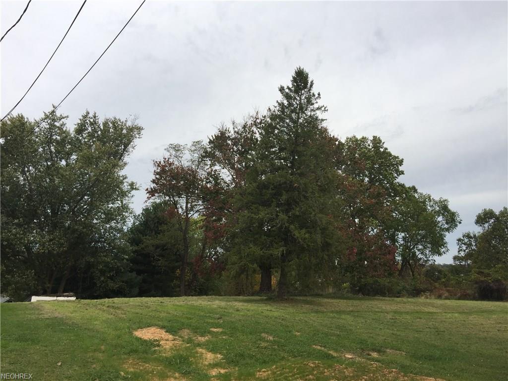2715 Cypress Street - Photo 1
